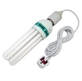 Picture of Compact Fluorescent Lamps (CFL)