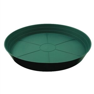Picture of Round Saucers