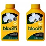 Picture of Bloom Euro