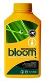 Picture of Bloom Groigen